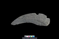 藏品(石鐮)的圖片