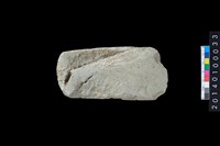 藏品(石斧)的圖片