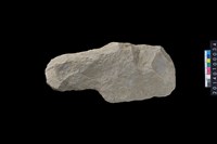 藏品(石斧)的圖片