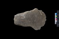 藏品(石斧)的圖片