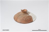 藏品(貝印紋陶蓋)的圖片