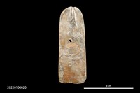 藏品(貝器)的圖片