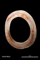 藏品(貝環)的圖片