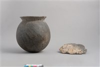 藏品(敞口鼓腹圜底罐(含蓋))的圖片