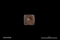 藏品(骨骰)的圖片