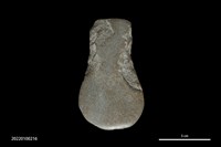 藏品(斧鋤形器)的圖片