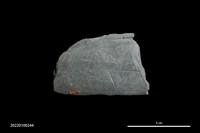 藏品(鋸齒紋飾石刀)的圖片