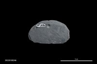 藏品(石刀)的圖片