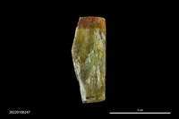 藏品(錛鑿形器)的圖片