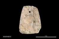 藏品(貝刀)的圖片