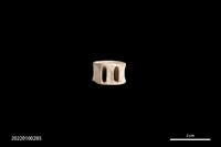 藏品(穿孔骨珠)的圖片