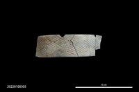 藏品(紋飾骨環殘件)的圖片