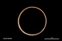 藏品(玉環)的圖片