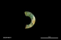 藏品(玉玦殘件)的圖片