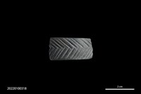 藏品(陶環殘件)的圖片