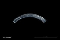 藏品(玻璃環)的圖片