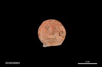 藏品(人面陶偶)的圖片