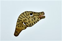 藏品(皮影戲偶頭--怪偶頭)的圖片