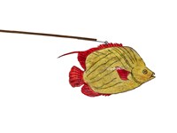藏品(皮影戲動物偶--魚)的圖片