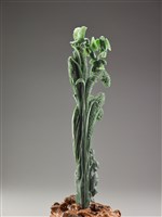 藏品(歡天喜地(主體))的圖片