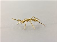 藏品(突破(螞蟻))的圖片