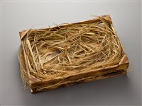 藏品(突破(巢))的圖片