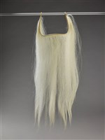 藏品(白滿髯)的圖片