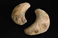 藏品(筊杯)的圖片