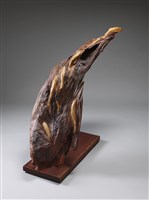 藏品(力爭上游)的圖片