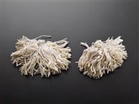 藏品(穗子)的圖片