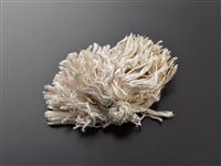 藏品(穗子)的圖片