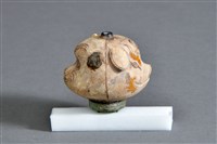 藏品(煙斗頭(豬猴))的圖片