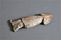 藏品(墨魚)的圖片