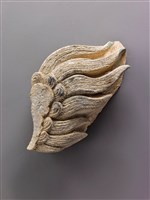 藏品(獅(尾))的圖片