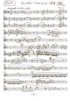 藏品(道情 第一樂章〈道情〉墨水筆手稿)的圖片