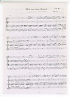 藏品(《Vois sur ton chemin》直笛四重奏 總譜 影印稿 完稿)的圖片