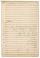 藏品(夜來香)的圖片