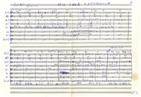 藏品(小麻雀)的圖片