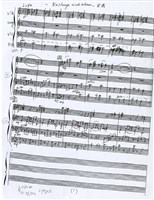 藏品(Exchange with Ohmm)的圖片