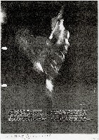 藏品(雲門舞集—社區校園巡迴演出)的圖片