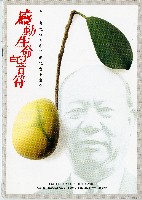 藏品(感動生命的音符)的圖片