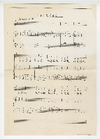 藏品(小小魚兒真可愛)的圖片