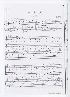 藏品(螢火蟲)的圖片