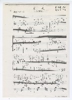 藏品(風吹)的圖片