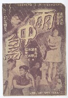 藏品(臺語電影《雨中鳥》宣傳小冊)的圖片