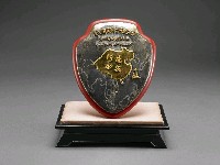 藏品(銀底金色地圖(上有文字還我河山))的圖片