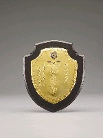 藏品(金盾)的圖片