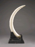 藏品(象牙（小）)的圖片