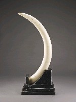 藏品(象牙（小）)的圖片