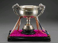 藏品(銀杯（鏡框）--民族救星)的圖片